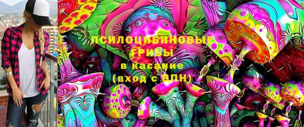мяу мяу мука Горняк