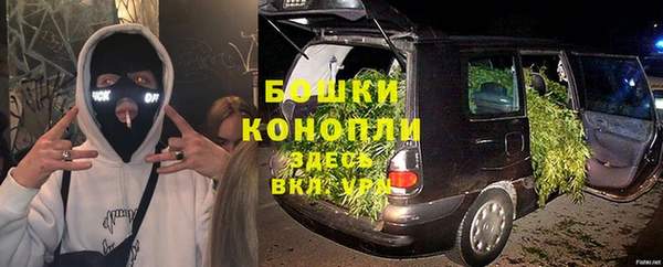 соль ск Горно-Алтайск