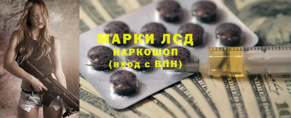 мяу мяу мука Горняк