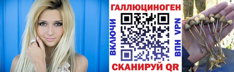 Купить  Калязин  Галлюциногенные грибы Cubensis 