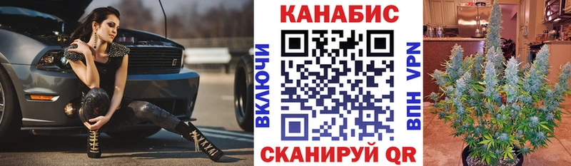 Купить  Калязин  Бошки Шишки VHQ 